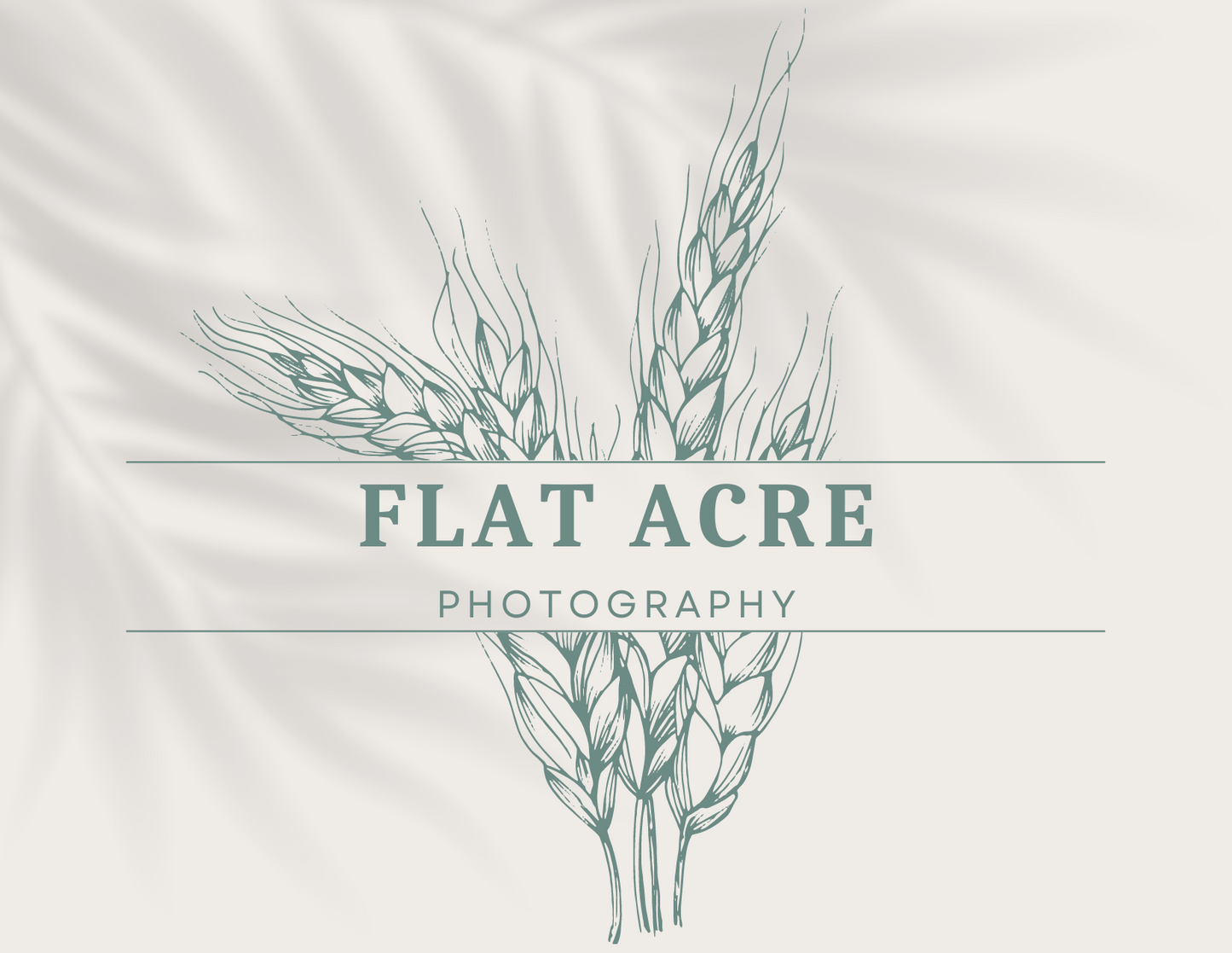 Gift Certificate